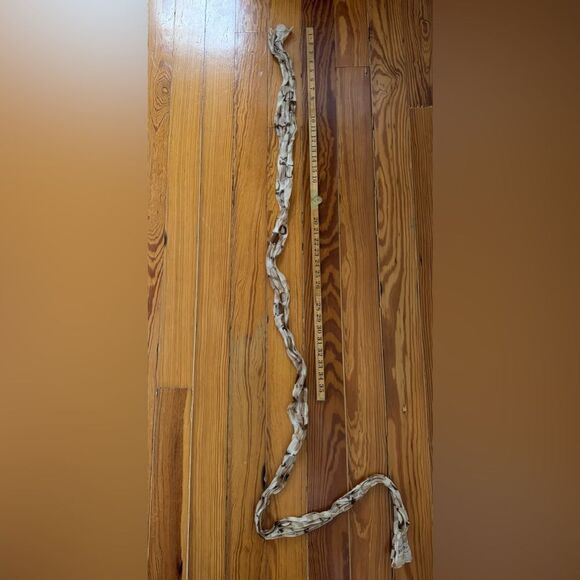 Coach Sash - Picture 4 of 4